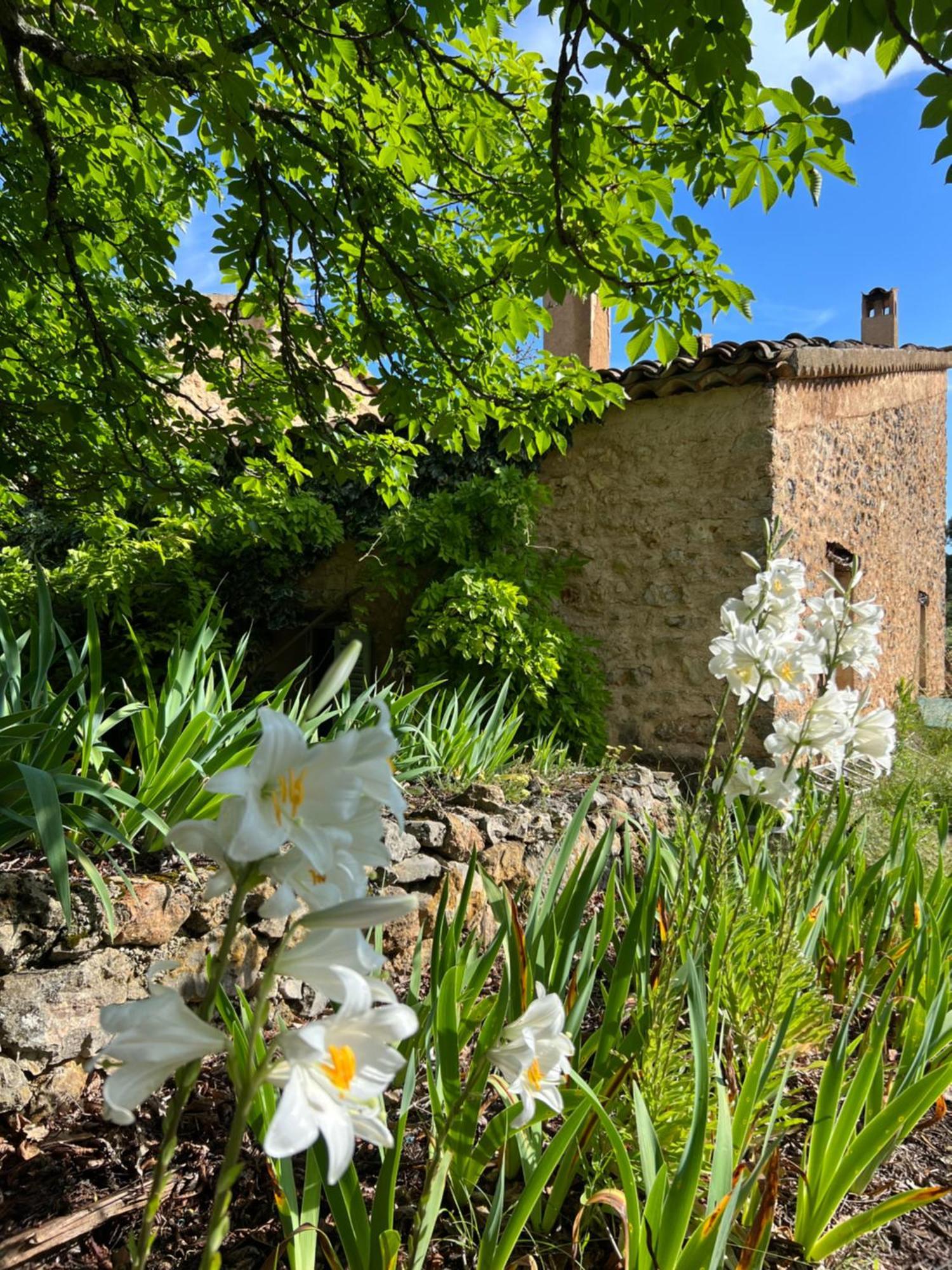 Charmant Appartement Independant Au Sein D'Un Mas Provencal Aups Luaran gambar